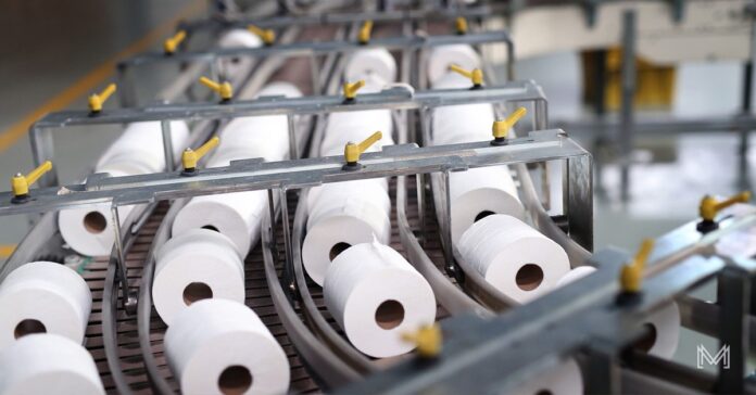 mzansi magazine the unfolding story of toilet paper manufacturing where hygiene meets profit