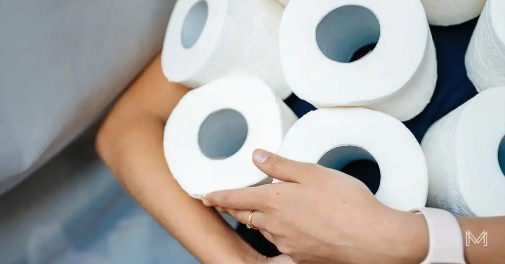 mzansi magazine understanding the market for toilet paper manufacturing